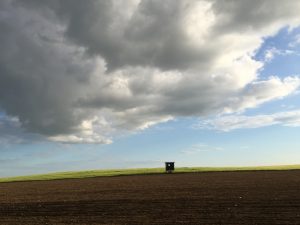 Himmel über einem Feld