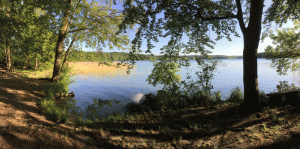 Stechlinsee Uferpanorama