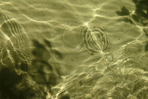Reflektion der Sonne im See