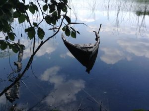 Versunkenes Boot im Stechlinsee