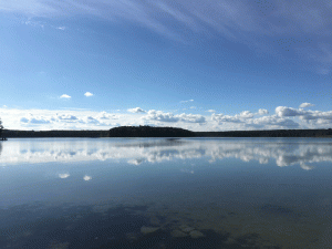 Der Stechlinsee mit Spiegelungen im September
