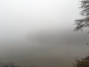 Nebel über dem Stechlinsee