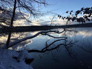 Schnee im Winter am Stechlinsee