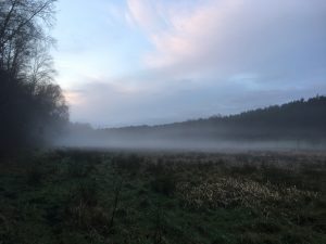 Nebel über den Feldern in der Umgebung