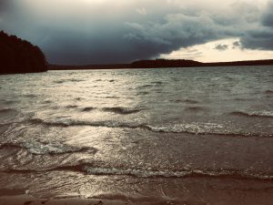 Wellen auf dem Stechlinsee