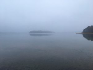 Nebel über dem Stechlinsee