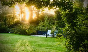 Garten vom Yogahaus am Stechlinsee