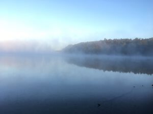 morgennebel
