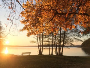 goldene Oktobersonne mit Bank