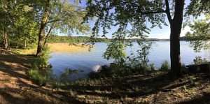 Blick auf den Stechlinsee